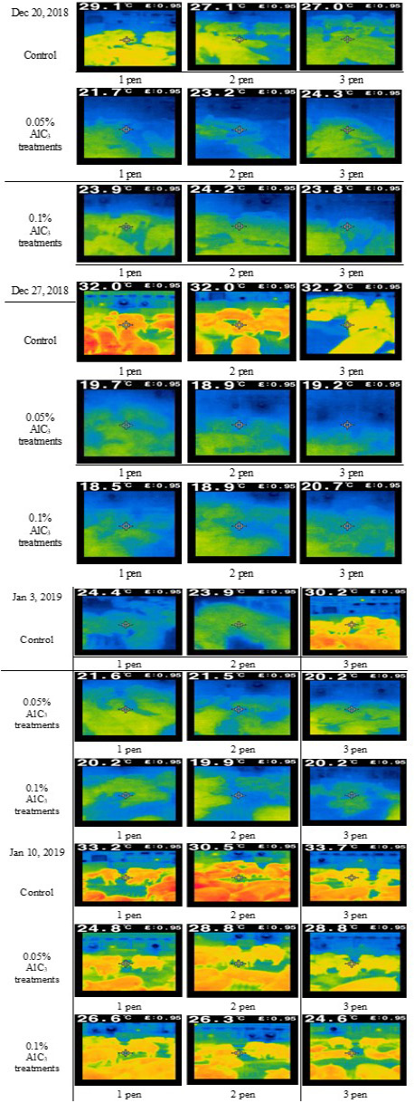 Figure 3: