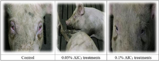 Figure 4: