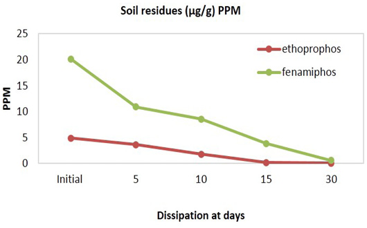 Figure 5: