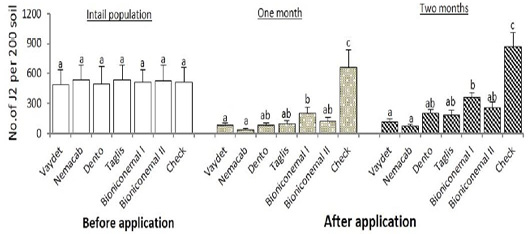 Figure 3: