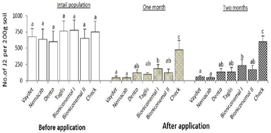 Figure 4: