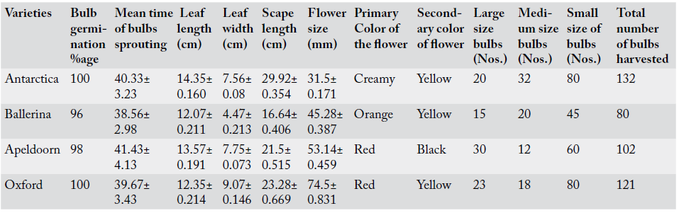 Table 1:
