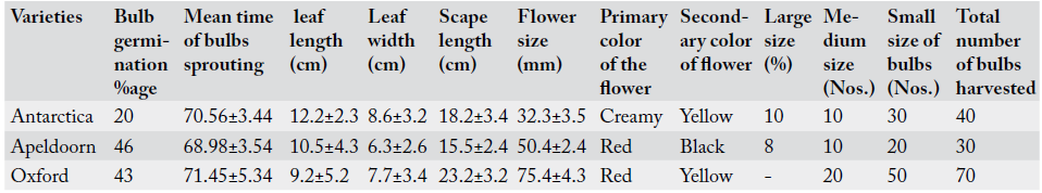 Table 3: