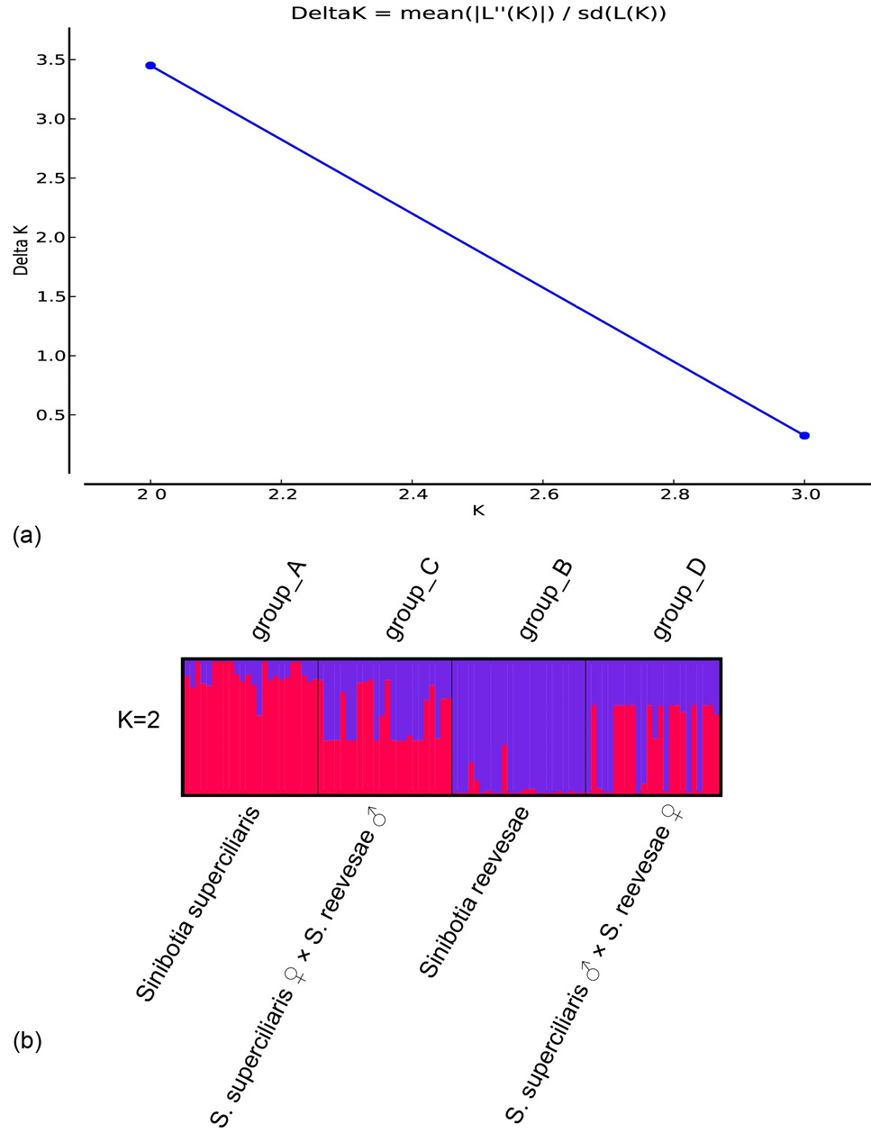 Fig.2.