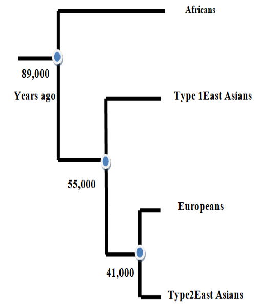 Figure 2: