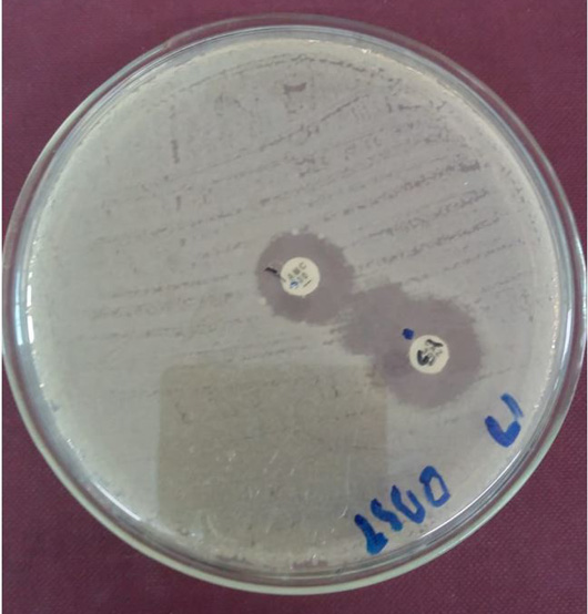 Figure 2: