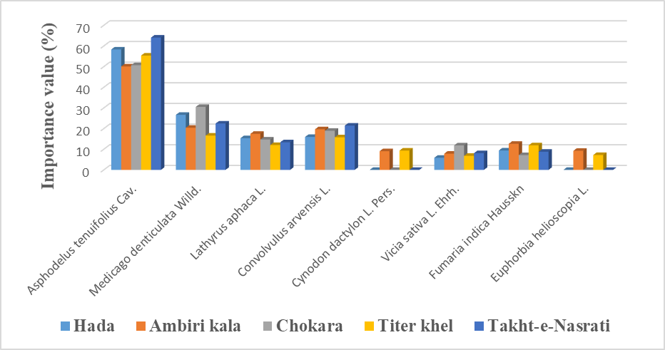 Figure 5: