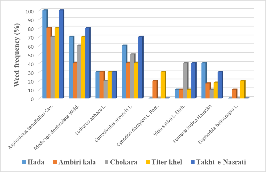 Figure 3: