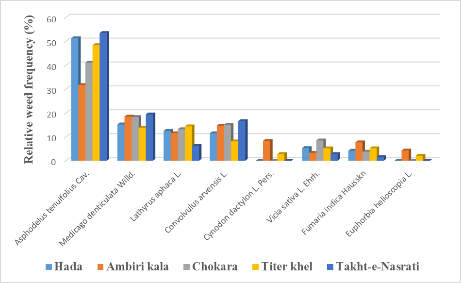 Figure 4:
