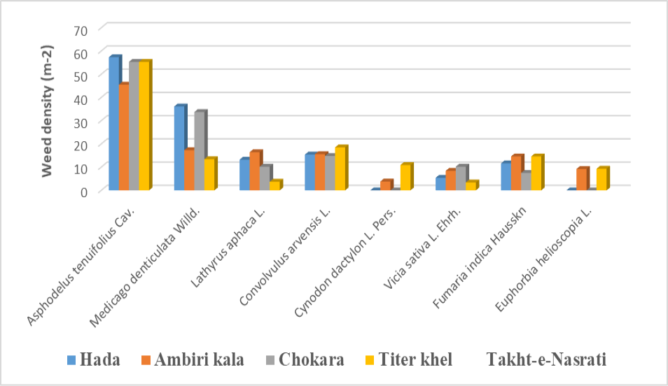Figure 1: