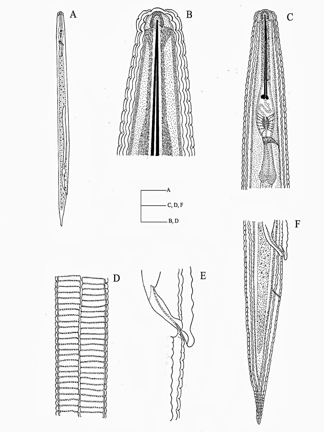 Figure 9: