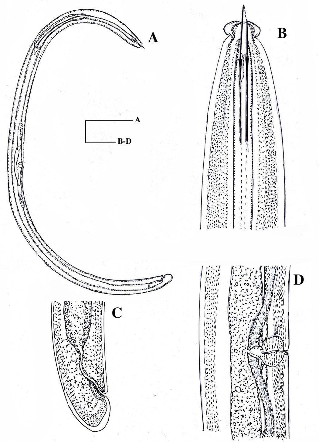Figure 14: