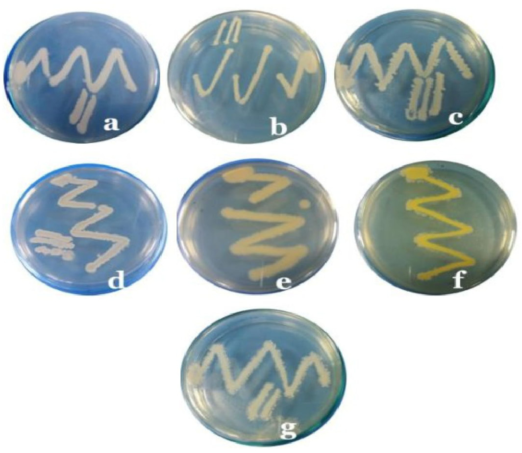 Figure 3: