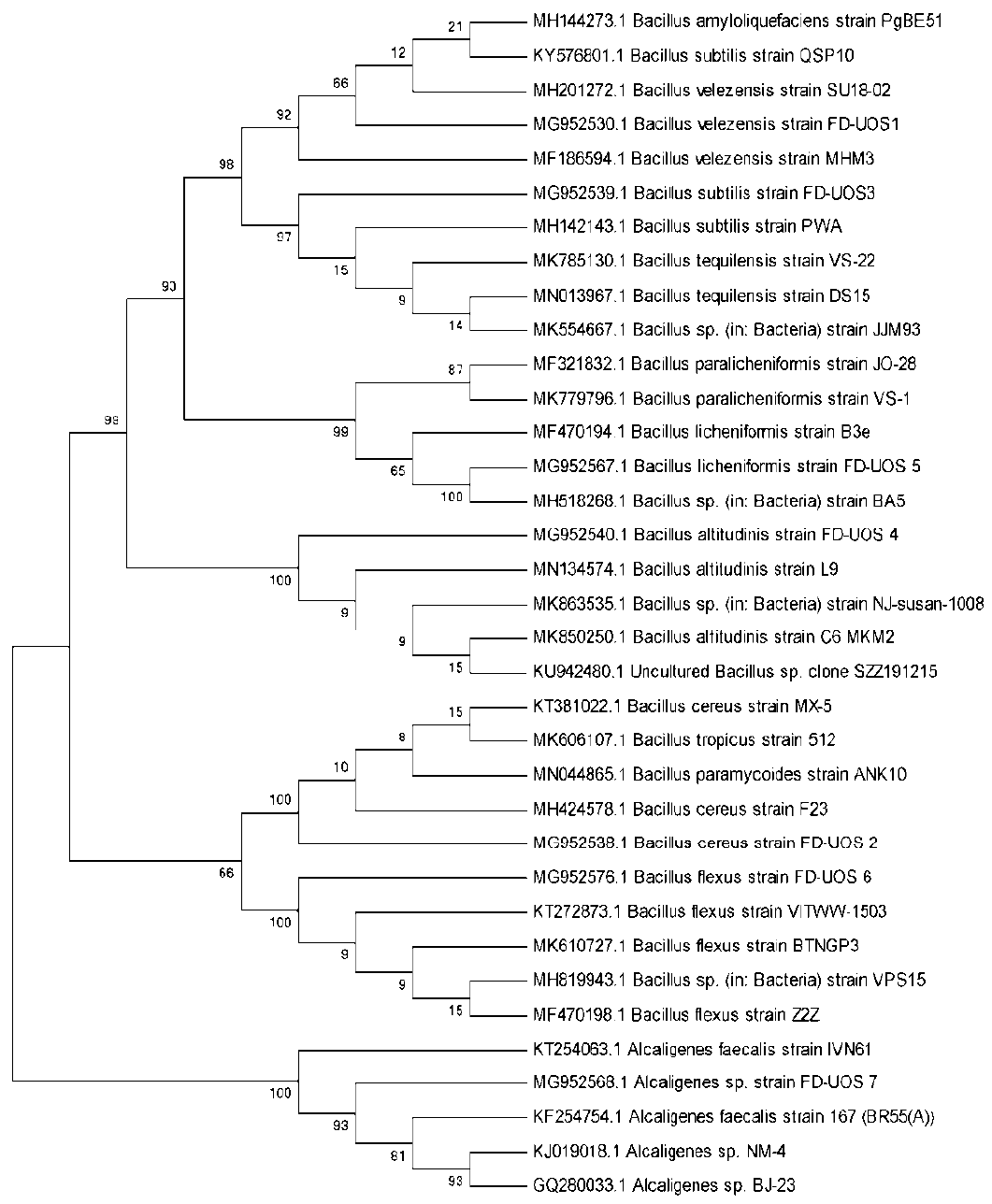 Figure 7: