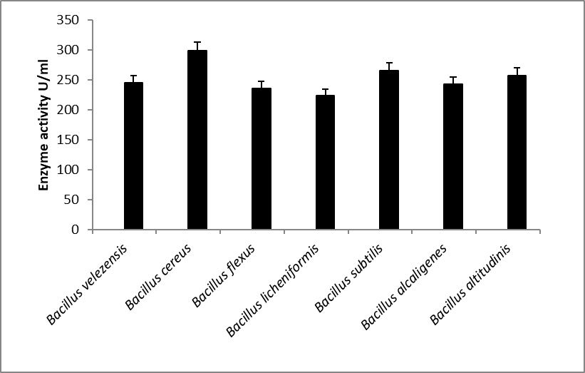 Figure 5: