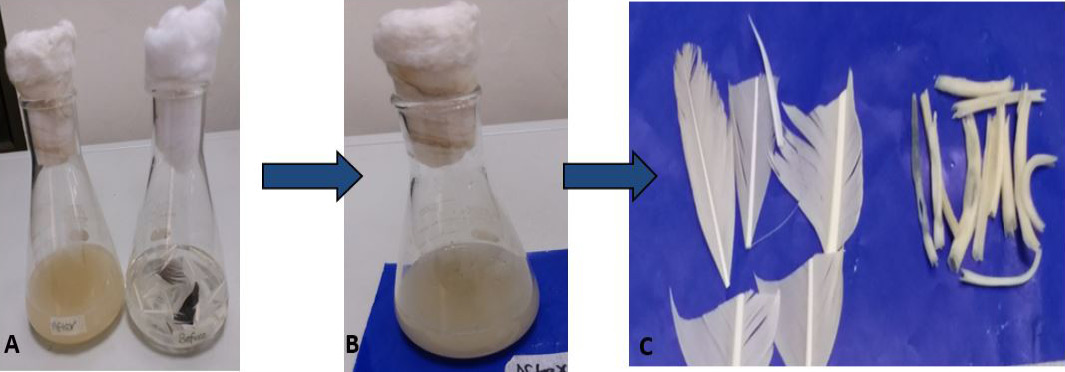 Figure 6: