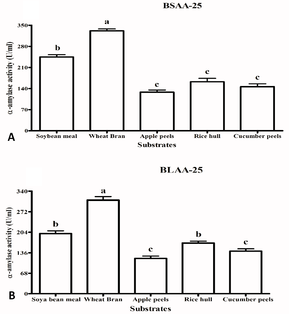 Figure 2: