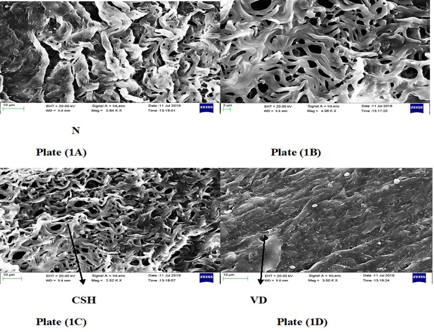 Figure 3: