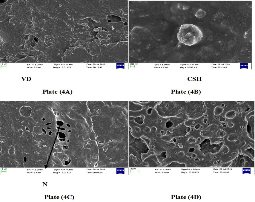Figure 6: