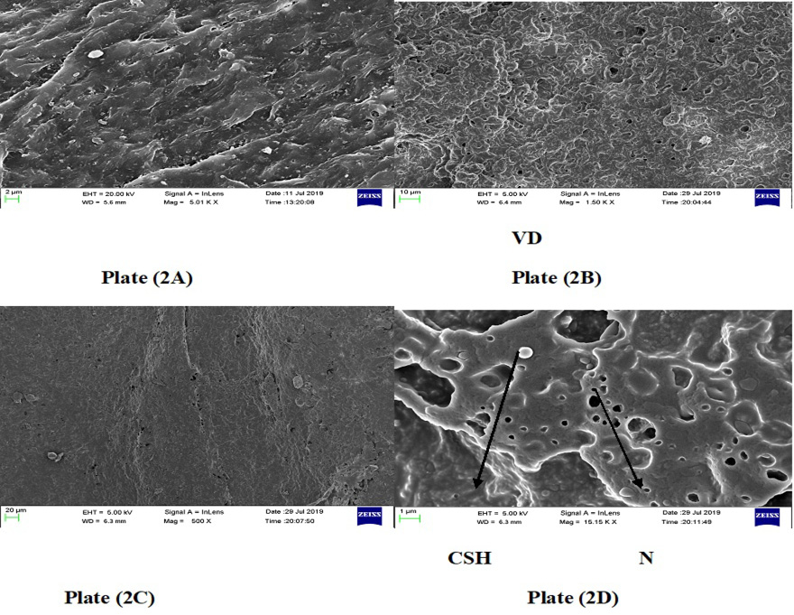 Figure 4:
