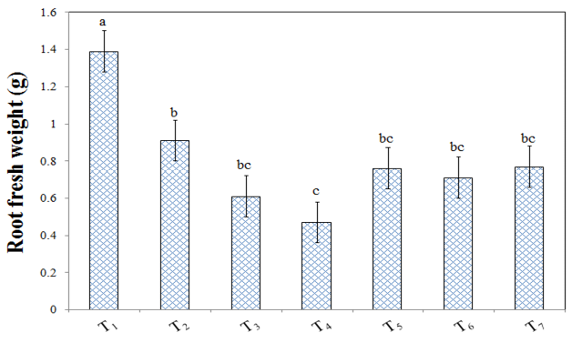 Figure 3:
