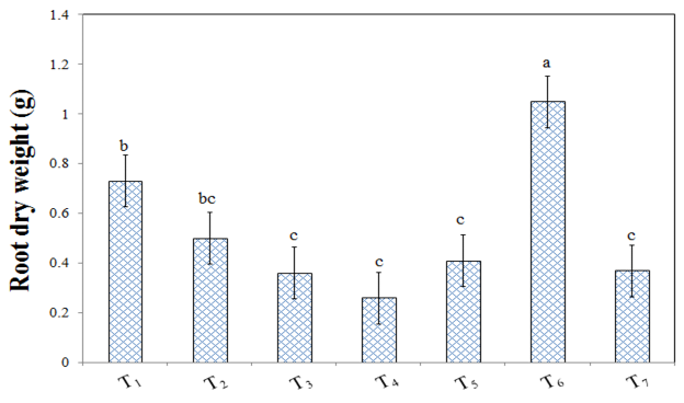 Figure 4: