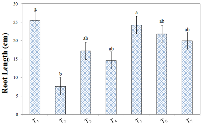 Figure 5: