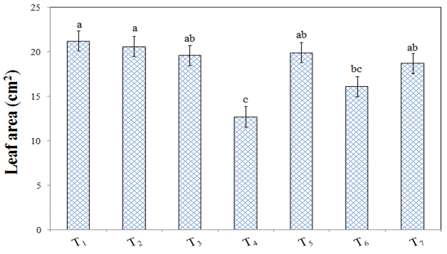 Figure 6: