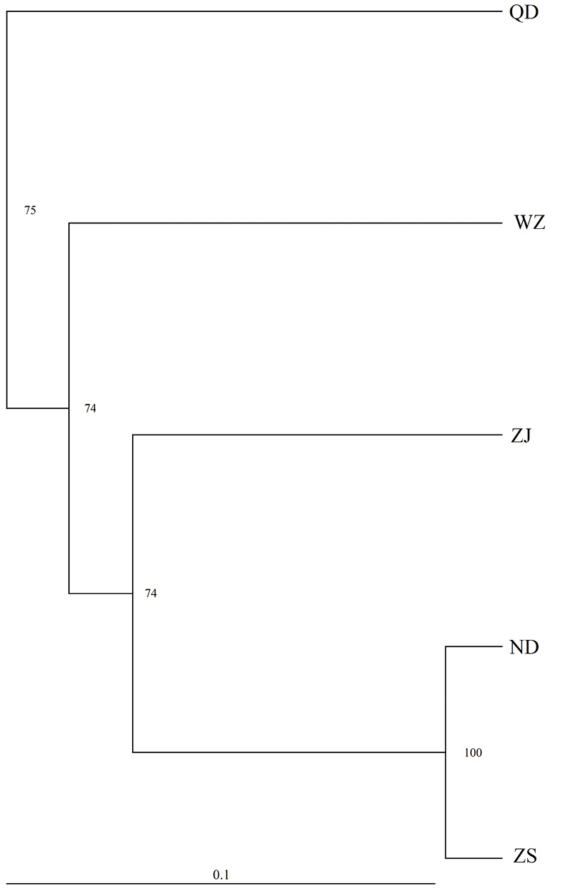 Fig. 4.
