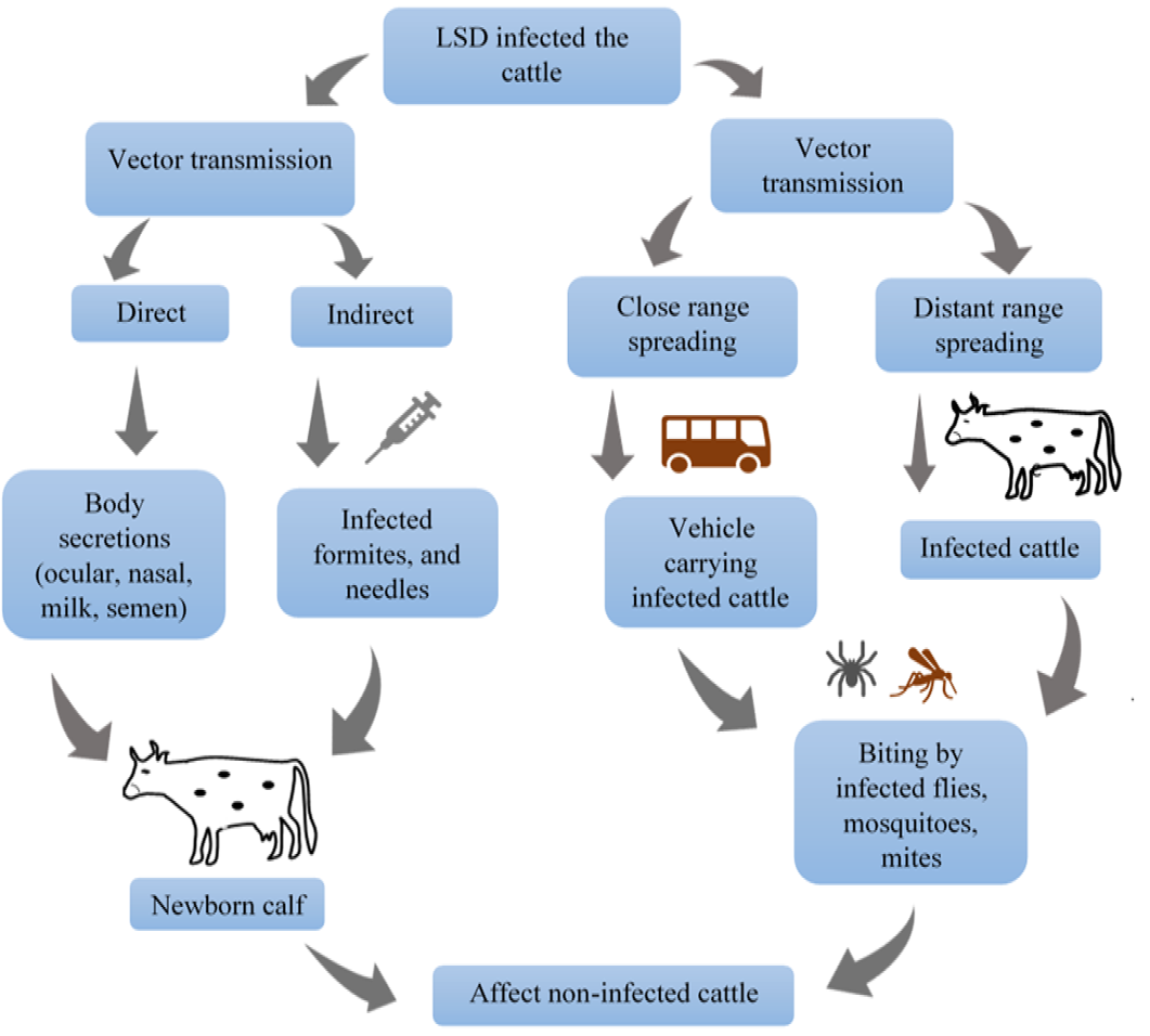 Figure 1: