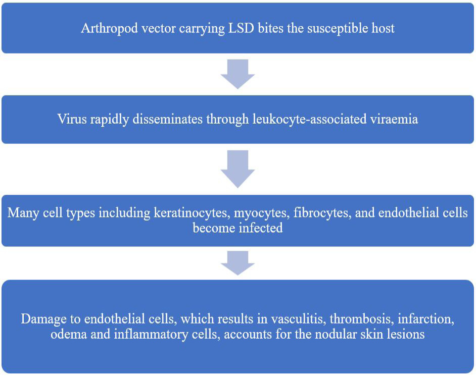 Figure 2:
