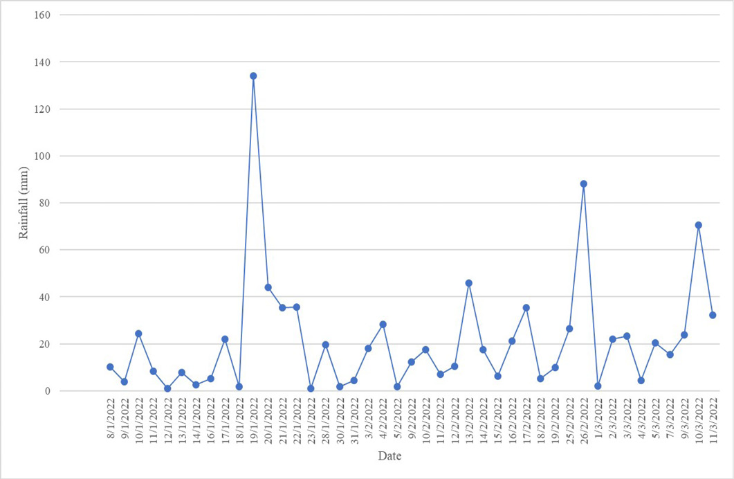 Figure 4: