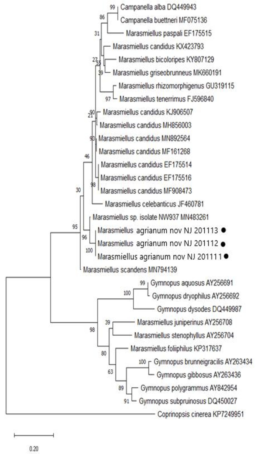 Figure 3: