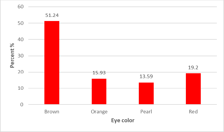 Figure 5: