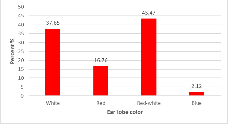 Figure 4: