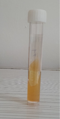 Figure 5: