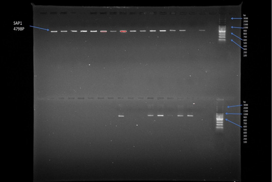 Figure 12: