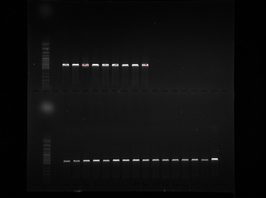 Figure 9: