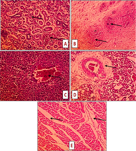 Figure 3: