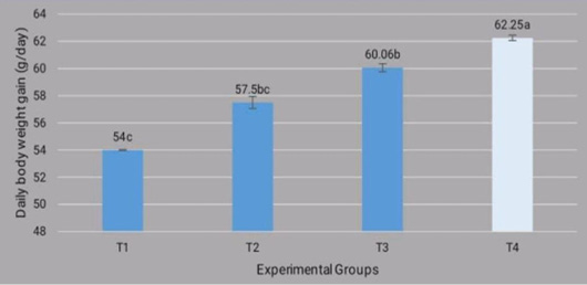 Figure 6: