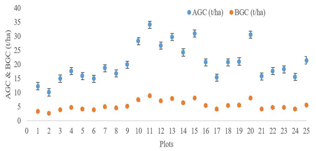 Figure 3: