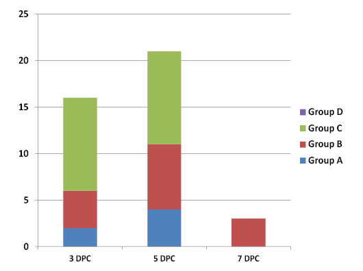 Figure 4: