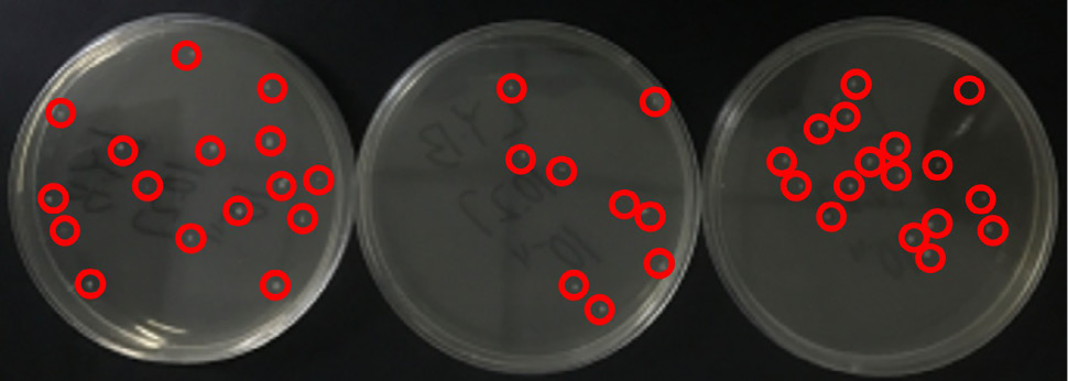 Fig. 3.