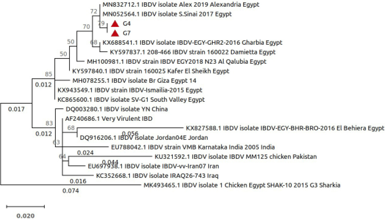 Figure 3: