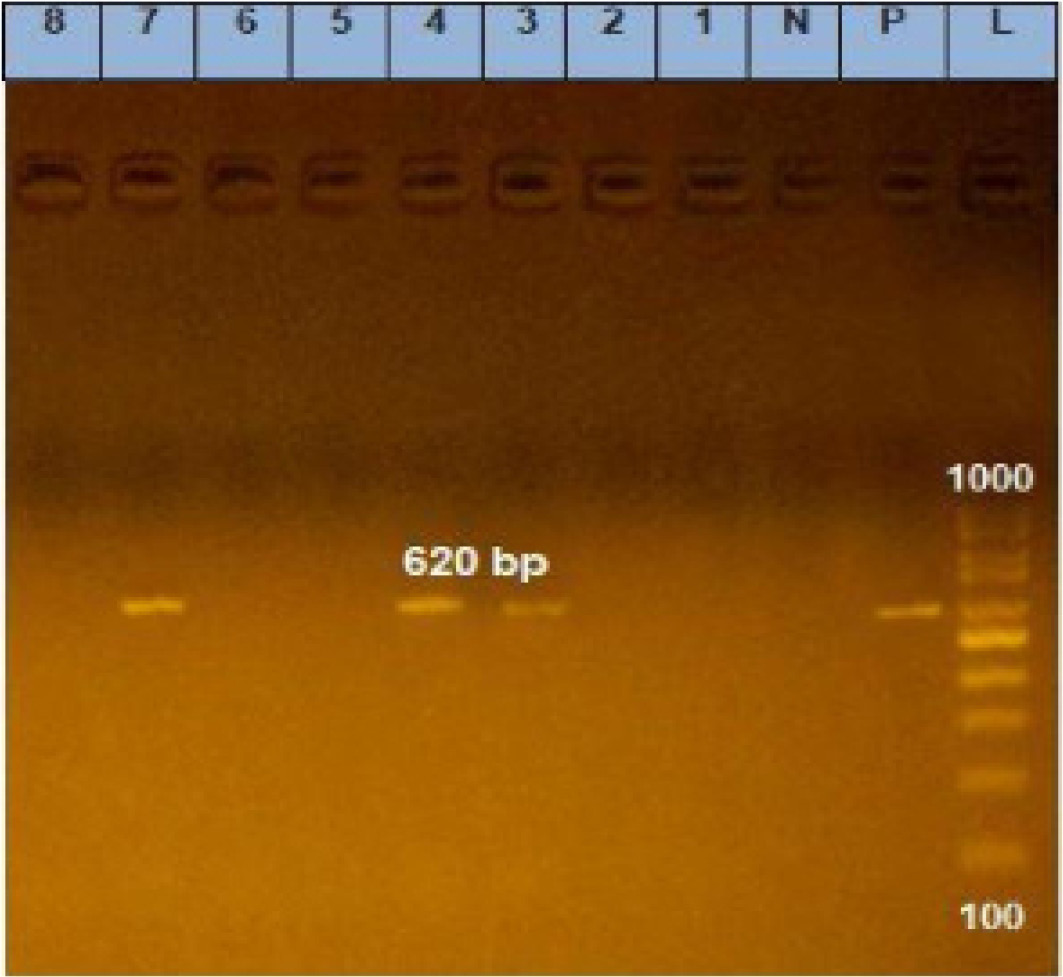 Figure 2: