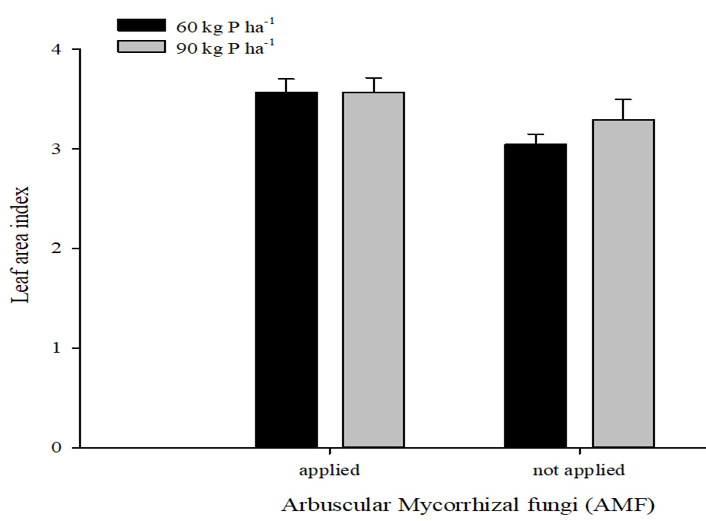 Figure 4: