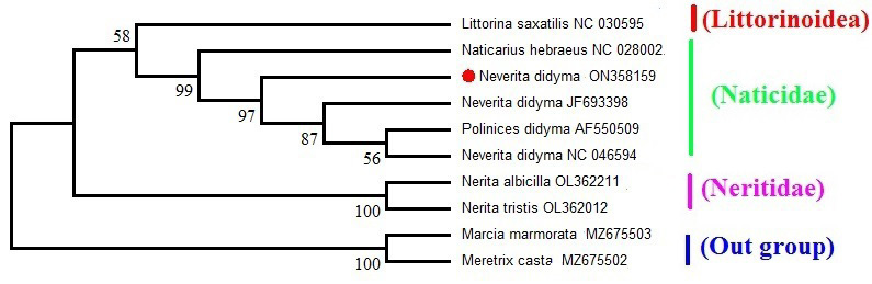 Fig. 2.
