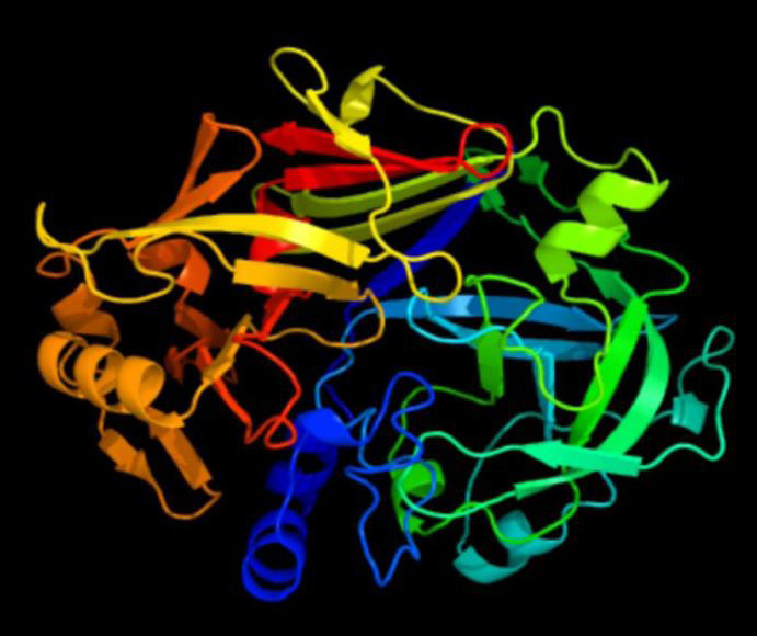 Fig. 8.