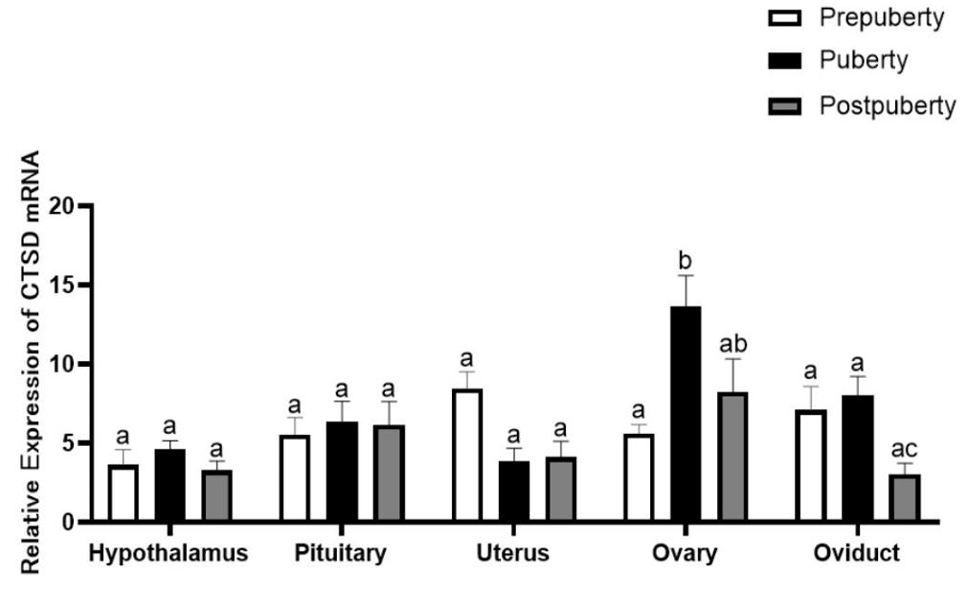 Fig. 9.