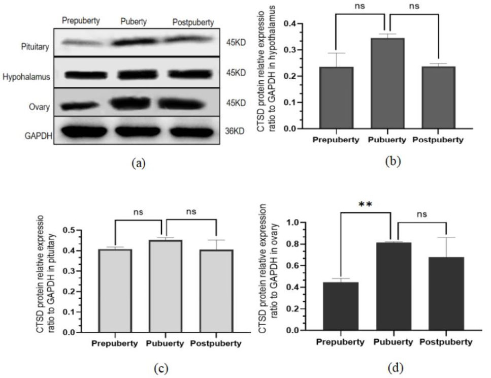 Fig. 10.